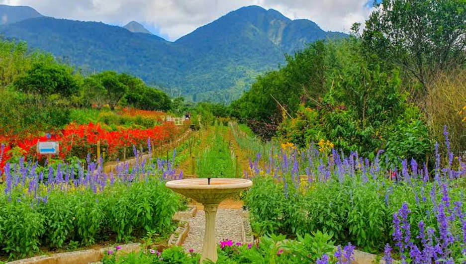 Nissan NV350 300x150